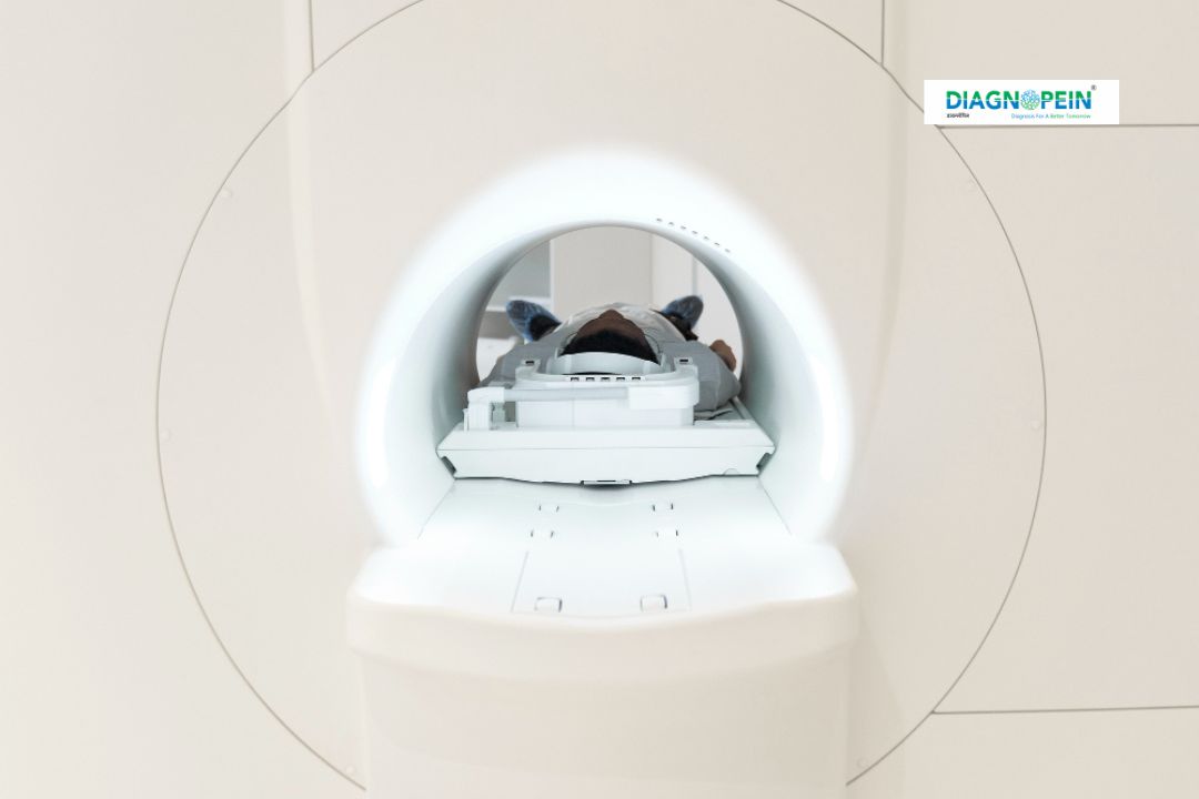 MRI Orbits – Without Contrast in Nanded | Overview, Benefits, Procedure ...